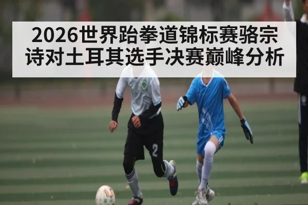 2026世界跆拳道锦标赛骆宗诗对土耳其选手决赛巅峰分析